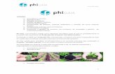 Fundación Phifundacionphi.org/public/home/adjuntos/Info Phi Gaia.pdf · 5. Sistemas bioclimáticos. 6. Conservación de bosques, especies autóctonas y creación de micro reservas
