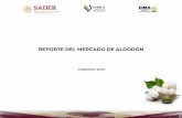 REPORTE DEL MERCADO DE ALDODÓN · */PV avance al 31 de enero de 2019; OI intención de siembras y cosechas del SIAP. 1/Año comercial abarca de octubre a septiembre del siguiente