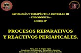 PROCESOS REPARATIVOS Y REACTIVOS PERIAPICALES.personal.us.es/segurajj/documentos/PTD-III/Temas PTD-III... · 2018-11-26 · Prof. Juan J. Segura Egea Catedrático de Patología y