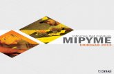 MIPYME - MICM · Esta novedosa fuente de información, complementada con otras producidas y recopiladas por la ONE, ponen a nuestro país a la vanguardia en la producción de información