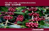 Guía de variedades de café · El café se originó en África, en diferentes regiones geográficas y climáticas. Como grupo botánico está constituido por más de 100 especies