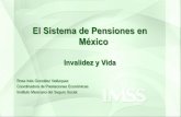 El Sistema de Pensiones en México · 2018-12-18 · individual en una Administradora de Fondos para el Retiro (Afore) donde se depositan las cuotas obrero patronales y estatal del