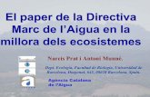 El paper de la Directiva Marc de l’Aigua en la millora ...aca-web.gencat.cat/aca/documents/ca/jornadatecnica002/ponencies… · El paper de la Directiva Marc de l’Aigua en la