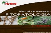 Manual de muestreo fitopatológico Fertilab DE MUESTREO... · El muestreo de tejido vegetal inicia con la ubicación de la parte dañada de la planta o detectando los indicios del