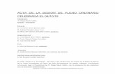 ACTA DE LA CONSTITUCIÓN DEL AYUNTAMIENTO CELEBRADA …static.malaga.es/municipios/subidas/archivos/2/2/arc_137522_v2.pdf · Andaluz de la Juventud en Sevilla.” La portavoz del
