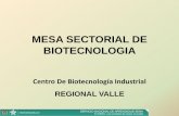 MESA SECTORIAL DE BIOTECNOLOGIAcomunica.sena.edu.co/.../presentacion_mesa_biotecnologia.pdf · 2012-12-12 · La biotecnología verde: se centra en la agricultura : incluyen la creación