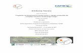 III Informe Técnico · 2019-08-07 · III Informe Técnico Título de proyecto “Cogestión territorial para la conservación y manejo sostenible del complejo volcánico Acatenango-Fuego”