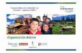 2009 4 17 PMSC x Fondos Voluntarios1).pdf · Gobierno Regional, la Municipalidad de Cajamarca y el Obispado de Cajamarca. Los Programas y Proyectos en lo posible se alinean a estrategias