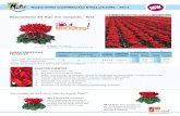 Mejoramiento del Rojo vivo compacto - 40124012Color rojo luminoso y vivo Muy buena duración de las flores Porte: el crecimiento es compacto, incluso en condiciones de cultivo cálido.