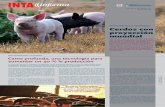 Cerdos con proyección mundial - INTA Informaintainforma.inta.gov.ar/wp-content/uploads/2012/07/156... · 2019-06-10 · ron el primer Foro Internacional de Cambio Climático con