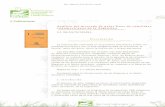 Análisis del mercado de pelos finos de camélidos ...produccion-animal.com.ar/.../72-analisiscamelidos.pdf · Jujuy (100.000), Catamarca (30.000) y Salta (15.000). A diferencia de