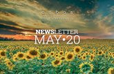 Newsletter Mayo 2020 - Cobasam.com...Se trata de uno de los errores más comunes en el mundo de la inversión: equiparar riesgo y volatilidad. Para un inversor a largo plazo el riesgo