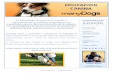 EDUCACION CANINA - ManyDogs · 4 Curso+Educación+del+cachorro Curso"muy"indicado"para"propietarios"que" hayan"adquirido"un"nuevo"cachorro"en"casa"o"estén" pensando"en"hacerlo.