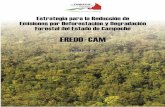Estrategia para la Reducción de Emisiones por Deforestación y …apps.semabicc.campeche.gob.mx/wp-content/uploads/2020/06/... · 2020-06-02 · Estrategia para la Reducción de