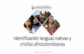 Identificación lenguas nativas y criollas afrocolombianas · Del total de la población, solo el 19% habla castellano; en cambio, cerca del 42,4% no lo entiende ni lo habla. Emberá