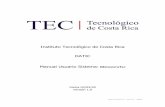 Instituto Tecnológico de Costa Rica DATIC Manual Usuario ...aplics.tec.ac.cr/MiCuentaTEC/Content/MiCuentaTEC_Manual_de_Usu… · sesión. Se debe colocar el correo electrónico del