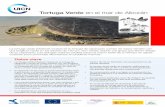 Tortuga Verde en el mar de Alborán - IUCN...Las tortugas verdes estudiadas en aguas de Alborán y el resto del Mediterráneo occidental tienen tienen su origen en las colonias de
