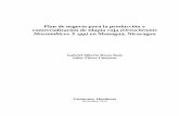 Plan de negocio para la producción y …...iii RESUMEN Flores Umanzor J. y Reyes Ruiz, G. 2012. Plan de negocio para la producción y comercialización de tilapia roja (Oreochromis