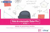 Guía de orientación Saber Pro - Icfes Instituto Colombiano para la …de... · 2020-06-01 · A continuación, presentamos la estructura de evaluación del módulo, discriminada