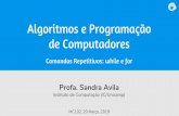 Algoritmos e Programação de Computadoressandra/pdf/class/2019-1/mc102/... · 2020-06-30 · Algoritmos e Programação de Computadores Comandos Repetitivos: while e for. Agenda