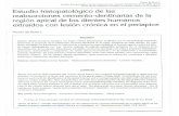 Estudio histopatológico de las re absorciones cemento …scielo.isciii.es/pdf/odonto/v19n2/original1.pdf · 2009-05-21 · Nunes da Rosa L Estudio histopatológico de las reabsorciones