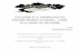 EVALUACIÓN DE LA FUNCIONALIDAD DEL CORREDOR …...evaluaciÓn de la funcionalidad del corredor biolÓgico talamanca – caribe, en la cuenca del rÍo carbÓn. biólogas dora ingrid