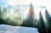 retiro invernal · 2018-11-15 · retiro invernal Bernd Gruber insufló nueva vida a esta casa en los Alpes austríacos, actualizando sus interiores y potenciando su relación íntima