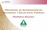 ROGRAMA DE AUTOGESTIÓN EN EGURIDAD Y SALUD EN EL TRABAJOautogestionsst.stps.gob.mx/Proyecto/Content/doctos... · Programa de Autogestión en Seguridad y Salud en el Trabajo, PASST.