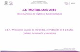 2.5 MORBILIDAD 2018 - Dirección de Planeación y Evaluaciónevaluacion.ssm.gob.mx/diagnosticoensalud-SSM2/... · Subdirección de Planeación y Desarrollo Fuente: Sistema Único