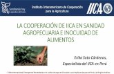 LA COOPERACIÓN DE IICA EN SANIDAD AGROPECUARIA E … · AGENDA : 1. ¿Qué es el IICA? 2. Oferta de cooperación técnica 3. Programa de Sanidad Agropecuaria e Inocuidad y Calidad