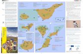 Observación de aves en las islas canarias · 2018-05-04 · Observación de aves en las islas canarias birdwatching in canary islands Mapa-100 lugares para ver aves 100 places to