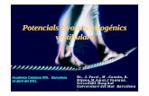 Potencials Evocats Miogénics vestibulars - Acadèmia de Ciències Mèdiques i de la ... · 2011-06-16 · Que es un VEMPs Respuesta evocada muscular que es provocada por la presentación