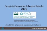 Servicio de Conservación de Recursos Naturales (NRCS) · 2018-02-27 · El Servicio de Conservación de Recursos Naturales y sus socios proveen asistencia técnica gratuita para