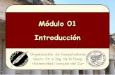 Módulo 01 Introducciónldm/mypage/data/oc/apuntes/2019-modulo1.pdf · Organización de Computadoras Depto. Cs. e Ing. de la Comp. Universidad Nacional del Sur Módulo 01 Introducción