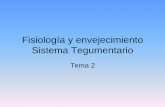 Fisiología y envejecimiento Sistema Tegumentario · 2018-09-07 · Fisiología y envejecimiento Sistema tegumentario Funciones del sistema tegumentario 5. Síntesis de vitamina D.