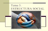 Tema 3. ESTRUCTURA SOCIAL · 2012-11-24 · 3.1. Concepte d’estructura social La societat constitueix un conjunt d’elements organitzats i amb unitat. La societat ha de tenir una
