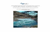 Autoridad Interjurisdiccional de las Cuencas de los Ríos ... diciembre 2010.pdf · Edición: Mes de Enero de 2011 . ... La precipitación del mes resultó por encima de los valores