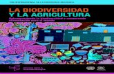 LA BIODIVERSIDAD Y LA AGRICULTURA - concyteq.edu.mx · La Biodiversidad y la Agricultura: Salvaguardando la biodiversidad y asegurando alimentación para el mundo. Montreal, 56 páginas.