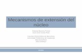 Mecanismos de extensión del núcleodocencia.ac.upc.edu/FIB/grau/SO2/documents/tema7.pdf · • Identificados por un major y un minor –Simples números •dev_t MKDEV (major, minor)