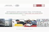 RESUMEN EJECUTIVO DEL INFORME - gob.mx · 2019-05-14 · Resumen ejecutivo 6 del Informe 2016 2.1.5. Establecer la cadena de preservación de los documentos digitales 30 Objetivo