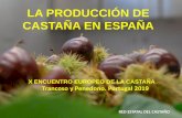 LA PRODUCCIÓN DE CASTAÑA EN ESPAÑA · 2019-09-16 · LA PRODUCCIÓN DE CASTAÑA EN ESPAÑA X ENCUENTRO EUROPEO DE LA CASTAÑA Trancoso y Penedono. Portugal 2019 RED ESTATAL DEL