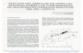 EFECTOS DEL EMBALSE DE «PINILLA» (MADRID) SOBRE LAS … · 2019-01-31 · saltada (GONZALEZ DEL T ANAGO, 1978; GARCIA DE JALON, 1978) coma vias de drenaje de los ecosistemas terrestres,