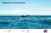 SEMANA DE LA ESCUCHA 2020 - tsonami.cl€¦ · Este año realizaremos una Semana de la Escucha centrada en las problemáticas del sonido bajo el mar y los efectos antropogénicos