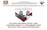 Plan Municipal de Consumo y Manejo Sustentable de Pilas de …valladolid.gob.mx/wp-content/uploads/2019/09/Gaceta-88.pdf · Plan Municipal de Consumo y Manejo Sustentable de Pilas