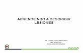 Tarea 1 Aprendiendo a Describir Lesiones - UNABveterinaria.unab.cl/wp-content/uploads/2020/03/Tarea-1-Aprendiend… · Microsoft PowerPoint - Tarea 1 Aprendiendo a Describir Lesiones