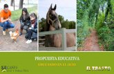 PROPUESTA EDUCATIVA - Comunidad de Madrid · PROPUESTA DE ACTIVIDAD 3 DÍAS ... • Paseo en carro • Huerto Ecológico • Piscina Espacio independiente para profesores Establos.