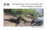 El programa de cría en cautividad del visón europeo en Españalifelutreolaspain.com/sites/default/files/agenda/manas_s... · 2020-02-17 · JOAQUIN* Burgos COGOLLOS 03/12/2004 MACHO