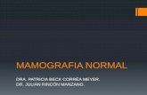 MAMOGRAFIA NORMAL - Sidi - Medicina por Imagem€¦ · Que diz a ACR? Em 1992, o American College of Radiology desenvolveu o Breast Imagem Reporting and Data System (BI-RADS ®) Objetivos