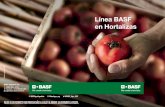 Línea BASF en Hortalizas · 2018-12-19 · Sunfire® 24 SC FITOREGULADORES Cycocel® 75 Pix® Índice Son varios los factores que pueden afectar tu siembra de hortalizas, desde las