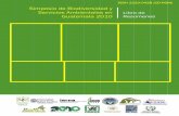 Simposio de Biodiversidad y Servicios Ambientales en Libro ... IARNA 13 (05)/adjuntos... · Simposio de Biodiversidad y Servicios Ambientales Noviembre 2010 ii Con la participación